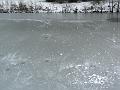 Ice patterns, Winter, Hampstead Heath P1070605